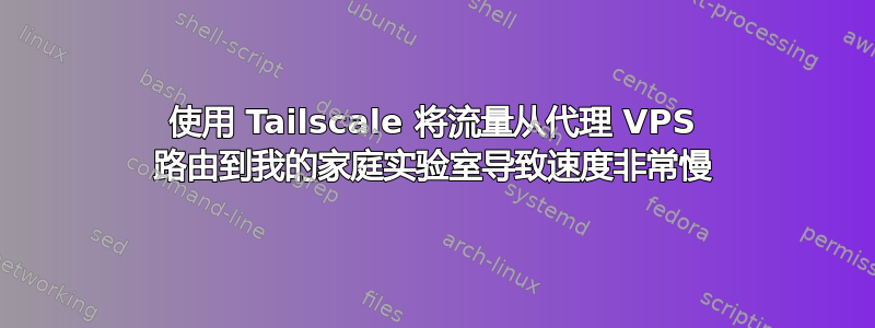 使用 Tailscale 将流量从代理 VPS 路由到我的家庭实验室导致速度非常慢