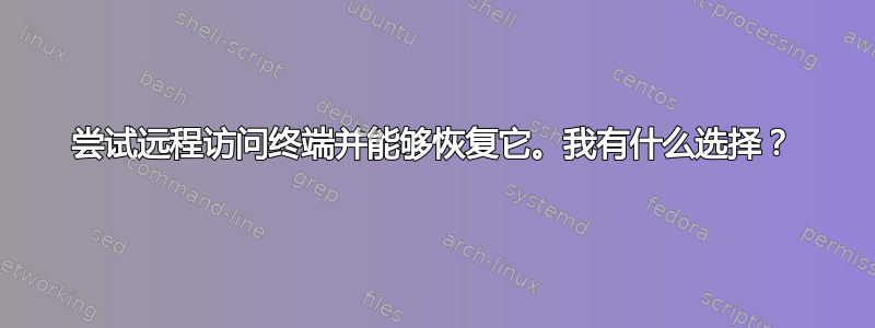 尝试远程访问终端并能够恢复它。我有什么选择？