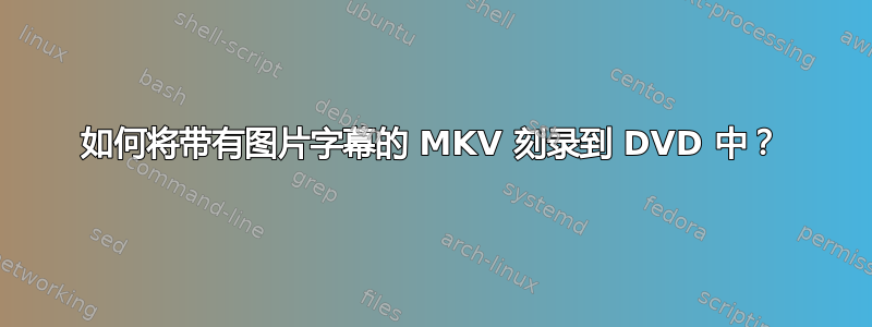 如何将带有图片字幕的 MKV 刻录到 DVD 中？