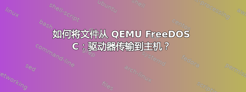 如何将文件从 QEMU FreeDOS C：驱动器传输到主机？