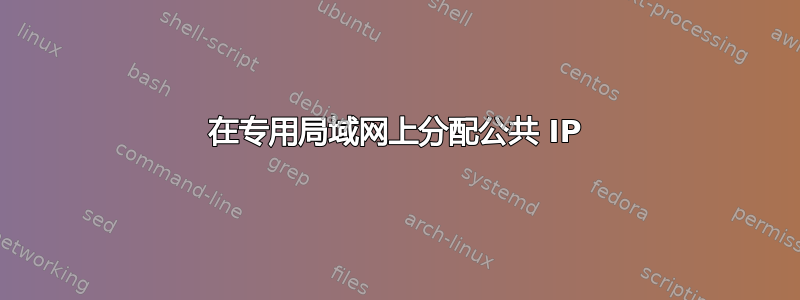 在专用局域网上分配公共 IP