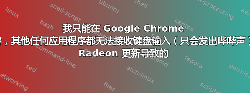 我只能在 Google Chrome 中输入内容，其他任何应用程序都无法接收键盘输入（只会发出哔哔声）。可能是 Radeon 更新导致的