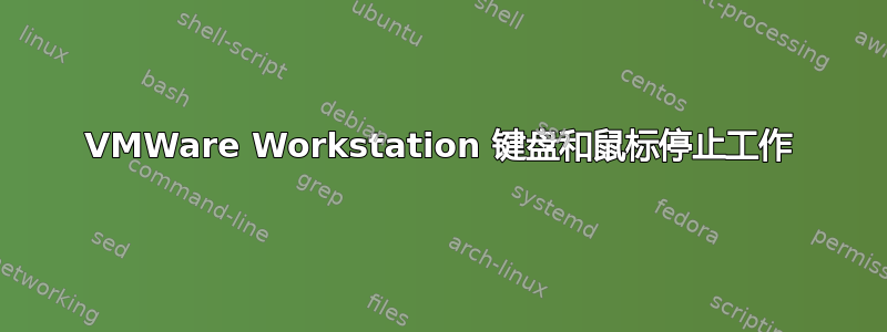 VMWare Workstation 键盘和鼠标停止工作