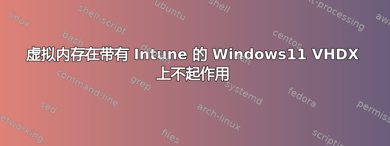 虚拟内存在带有 Intune 的 Windows11 VHDX 上不起作用