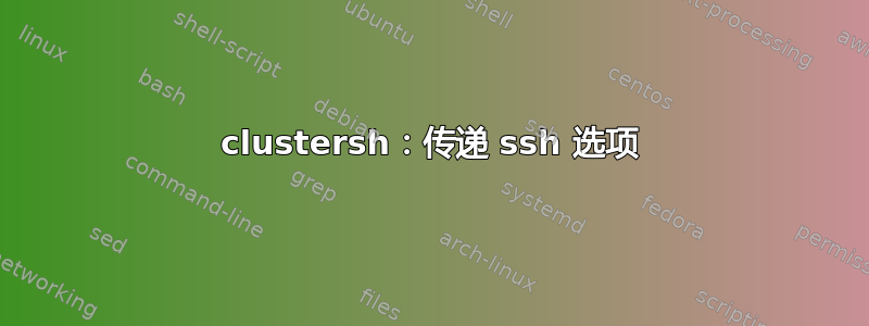 clustersh：传递 ssh 选项