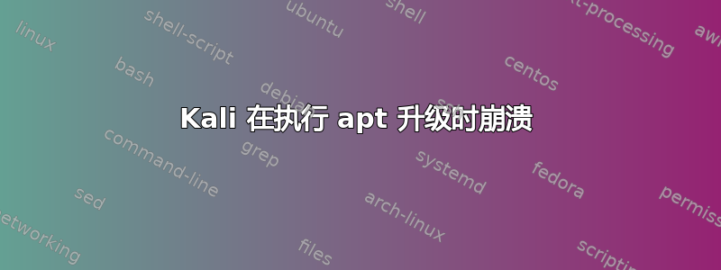 Kali 在执行 apt 升级时崩溃