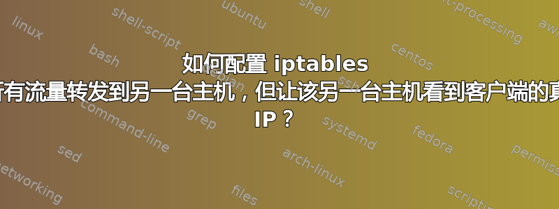 如何配置 iptables 将所有流量转发到另一台主机，但让该另一台主机看到客户端的真实 IP？