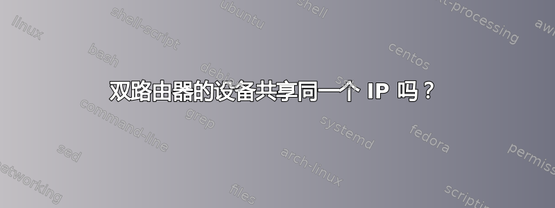 双路由器的设备共享同一个 IP 吗？