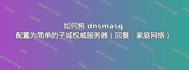 如何将 dnsmasq 配置为简单的子域权威服务器（回复：家庭网络）