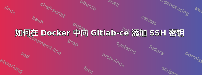 如何在 Docker 中向 Gitlab-ce 添加 SSH 密钥