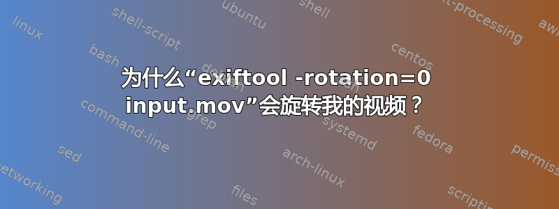 为什么“exiftool -rotation=0 input.mov”会旋转我的视频？