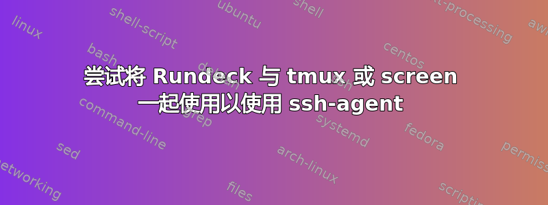 尝试将 Rundeck 与 tmux 或 screen 一起使用以使用 ssh-agent