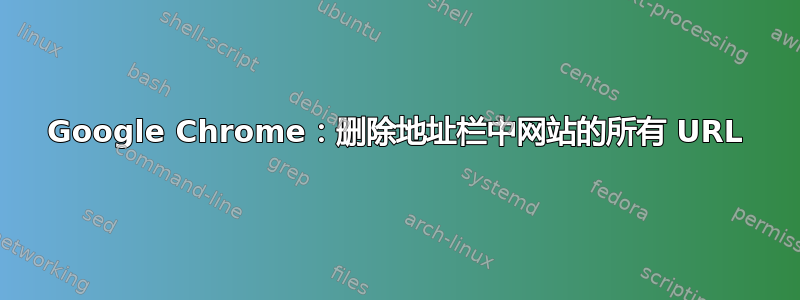 Google Chrome：删除地址栏中网站的所有 URL