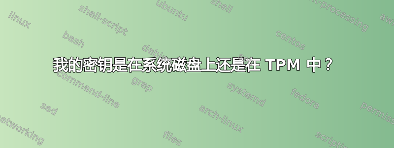 我的密钥是在系统磁盘上还是在 TPM 中？