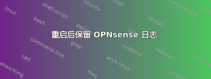 重启后保留 OPNsense 日志