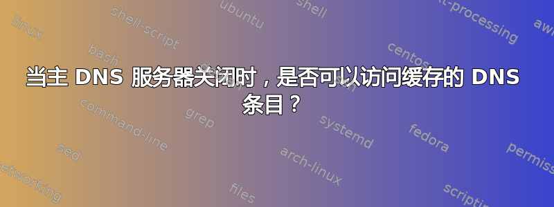 当主 DNS 服务器关闭时，是否可以访问缓存的 DNS 条目？