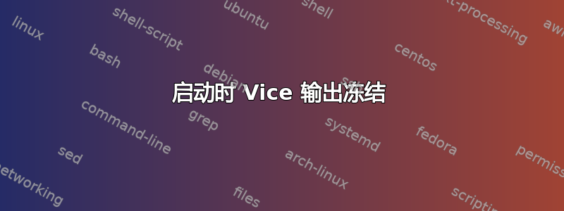 启动时 Vice 输出冻结