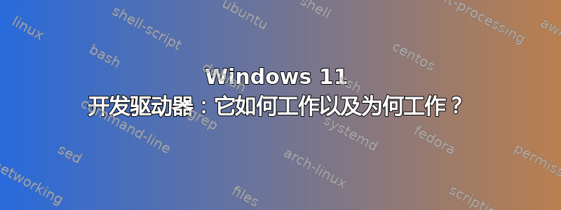 Windows 11 开发驱动器：它如何工作以及为何工作？