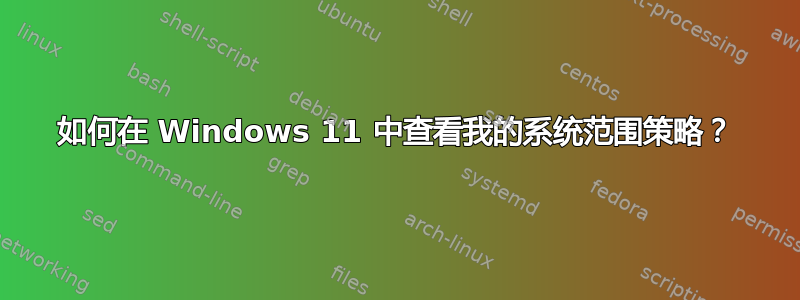 如何在 Windows 11 中查看我的系统范围策略？