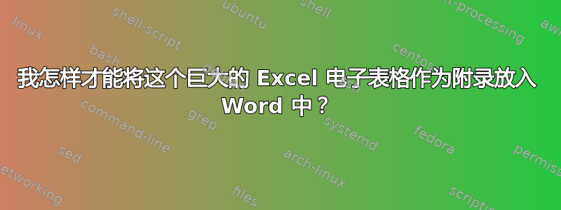 我怎样才能将这个巨大的 Excel 电子表格作为附录放入 Word 中？