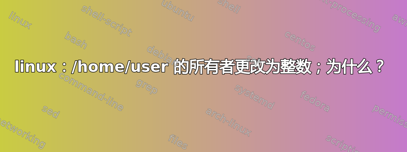 linux：/home/user 的所有者更改为整数；为什么？