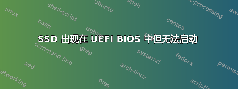 SSD 出现在 UEFI BIOS 中但无法启动