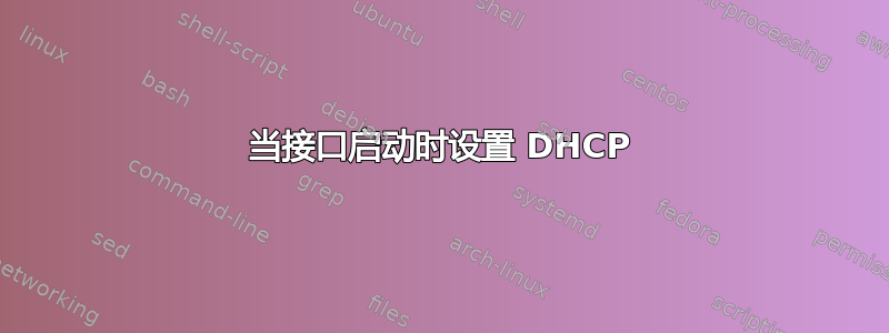 当接口启动时设置 DHCP