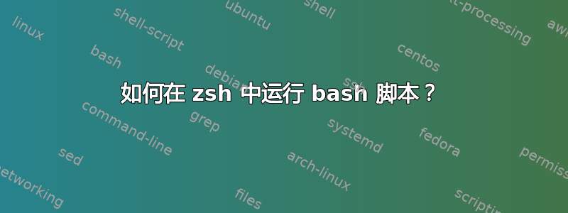 如何在 zsh 中运行 bash 脚本？