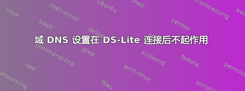 域 DNS 设置在 DS-Lite 连接后不起作用