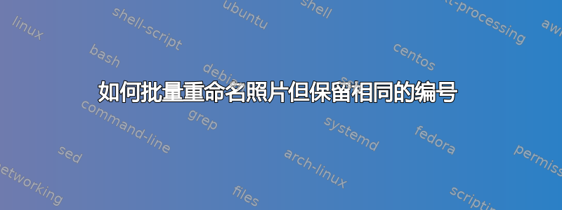 如何批量重命名照片但保留相同的编号