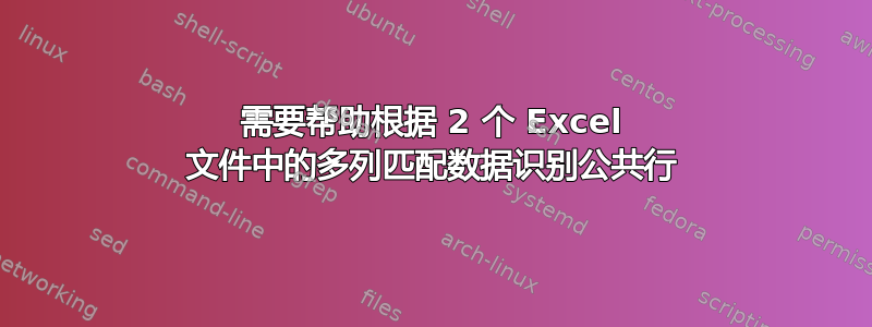 需要帮助根据 2 个 Excel 文件中的多列匹配数据识别公共行