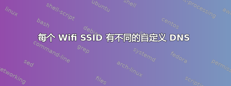 每个 Wifi SSID 有不同的自定义 DNS