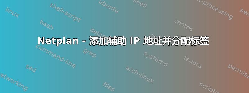 Netplan - 添加辅助 IP 地址并分配标签