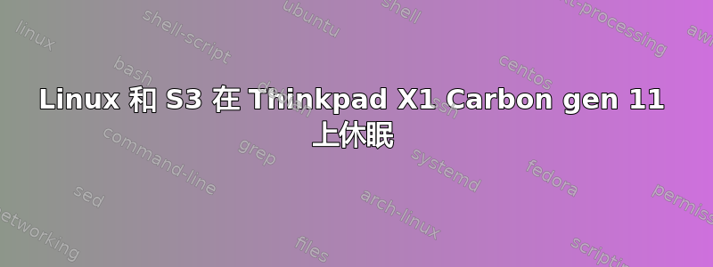 Linux 和 S3 在 Thinkpad X1 Carbon gen 11 上休眠