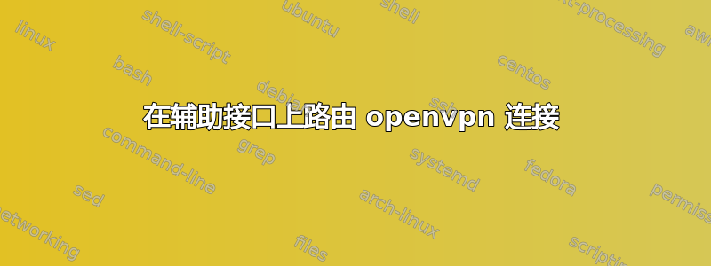 在辅助接口上路由 openvpn 连接