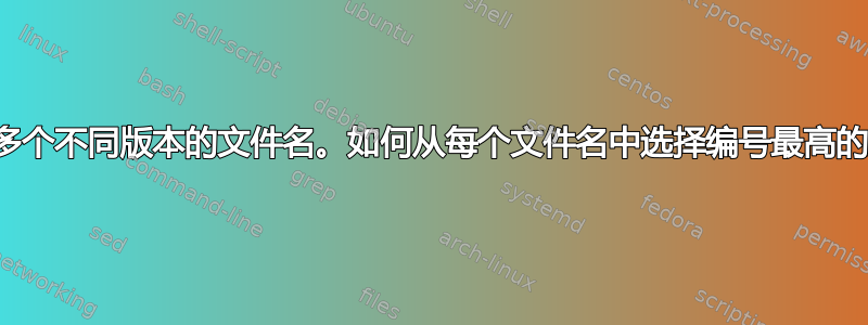 我有多个不同版本的文件名。如何从每个文件名中选择编号最高的版本