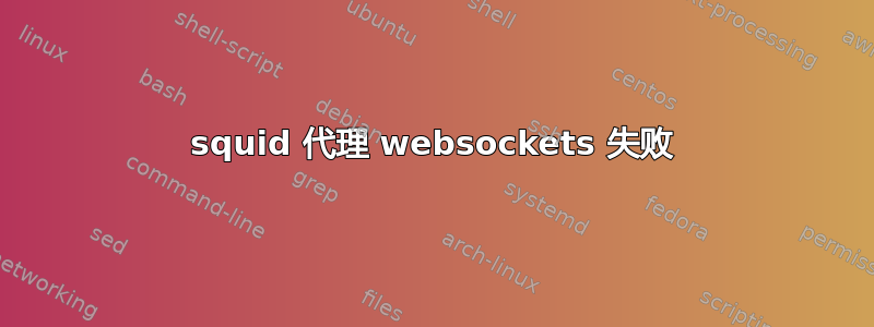 squid 代理 websockets 失败