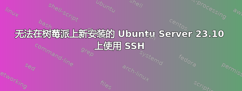 无法在树莓派上新安装的 Ubuntu Server 23.10 上使用 SSH