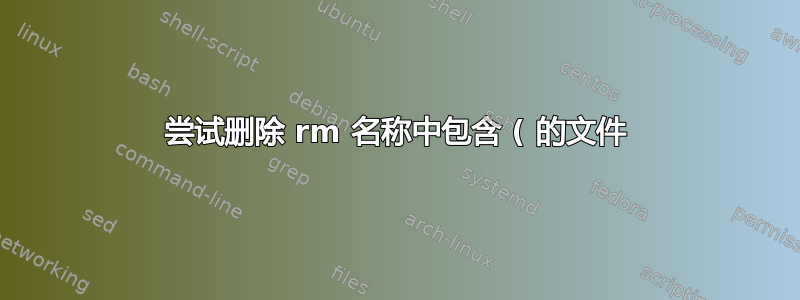 尝试删除 rm 名称中包含 ( 的文件