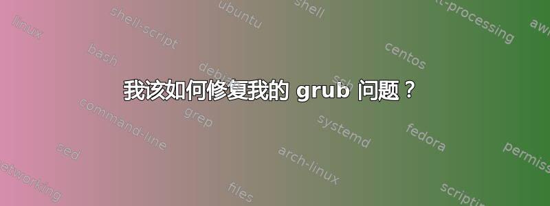 我该如何修复我的 grub 问题？