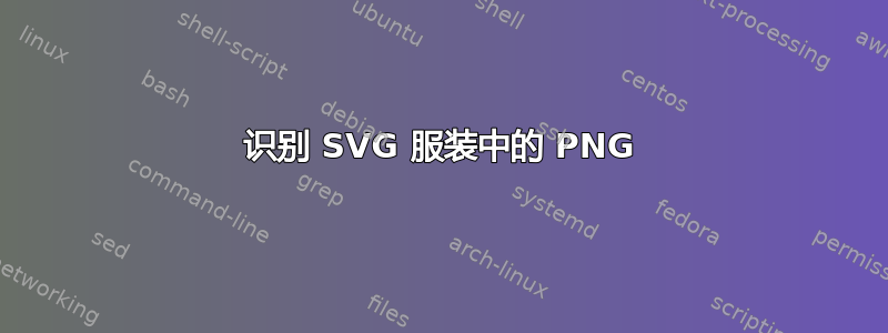 识别 SVG 服装中的 PNG