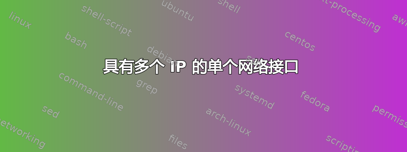 具有多个 IP 的单个网络接口