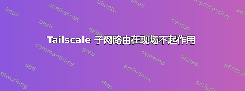 Tailscale 子网路由在现场不起作用