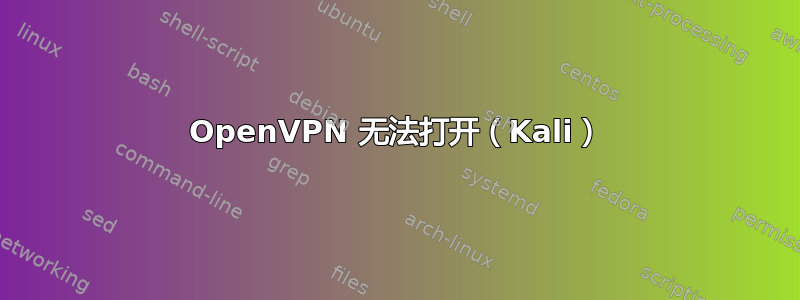 OpenVPN 无法打开（Kali）