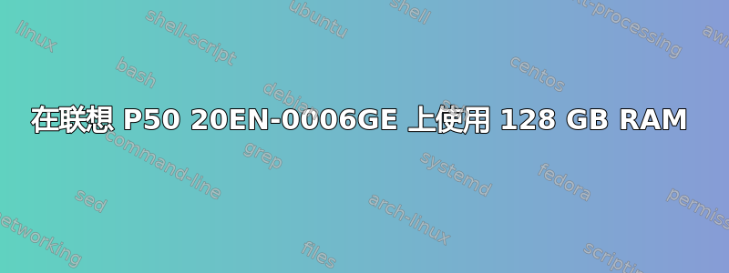 在联想 P50 20EN-0006GE 上使用 128 GB RAM