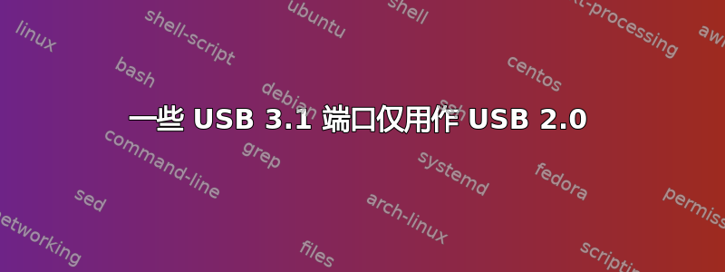 一些 USB 3.1 端口仅用作 USB 2.0