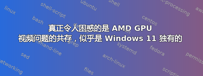 真正令人困惑的是 AMD GPU 视频问题的共存，似乎是 Windows 11 独有的