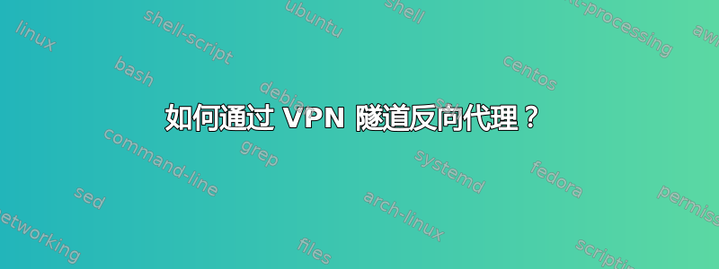 如何通过 VPN 隧道反向代理？