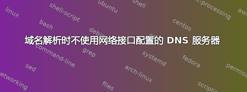 域名解析时不使用网络接口配置的 DNS 服务器