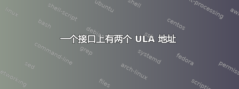 一个接口上有两个 ULA 地址